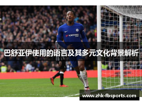 巴舒亚伊使用的语言及其多元文化背景解析