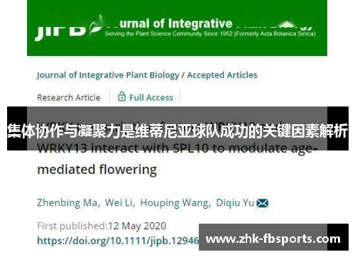 集体协作与凝聚力是维蒂尼亚球队成功的关键因素解析