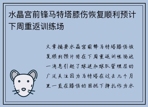 水晶宫前锋马特塔膝伤恢复顺利预计下周重返训练场